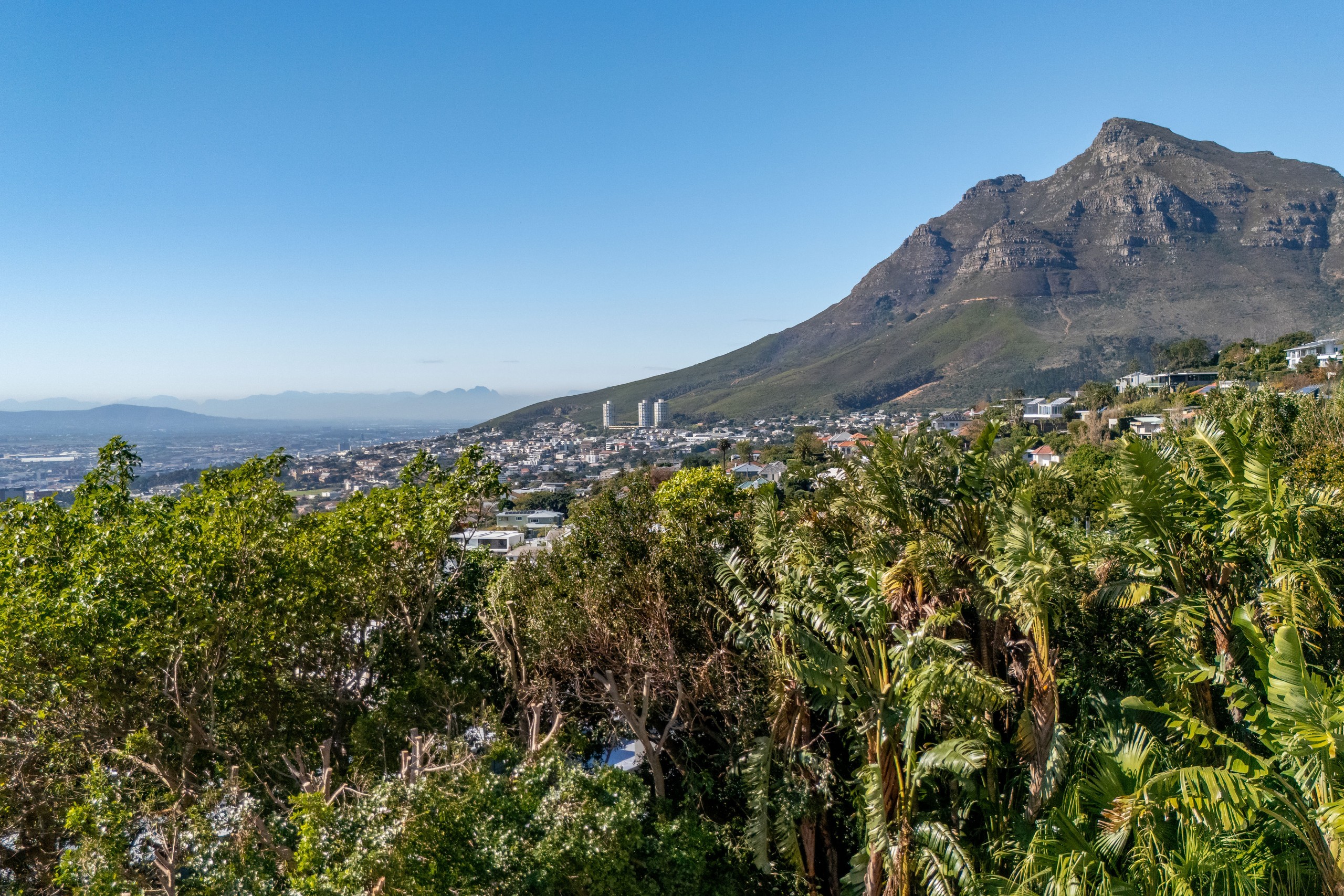 8 56GlencoeAvenueAerial-2
