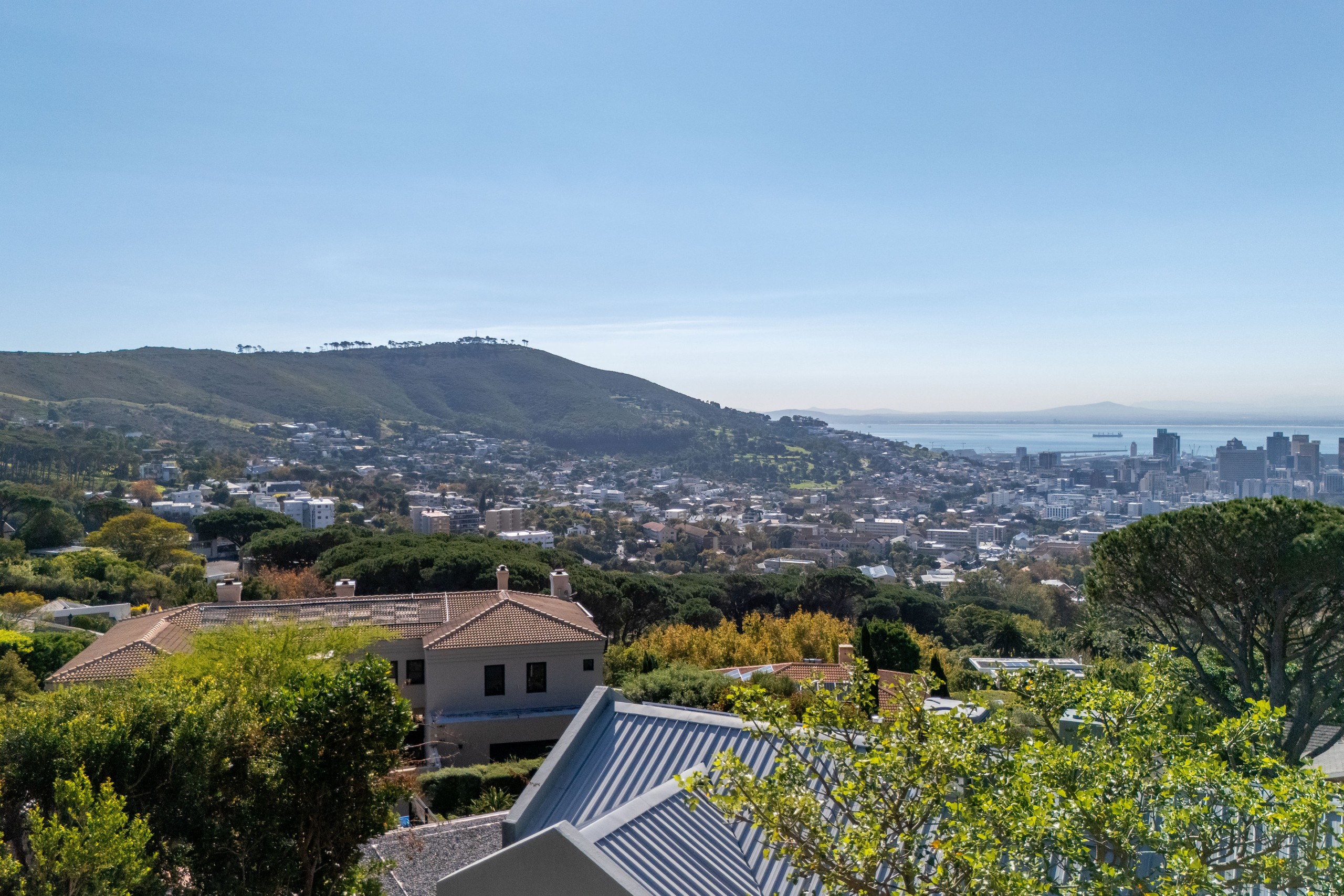 9 56GlencoeAvenueAerial-3